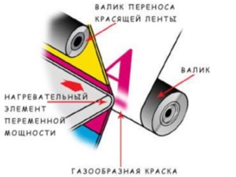 Какие виды принтеров бывают: преимущества и недостатки, характеристики, сравнение