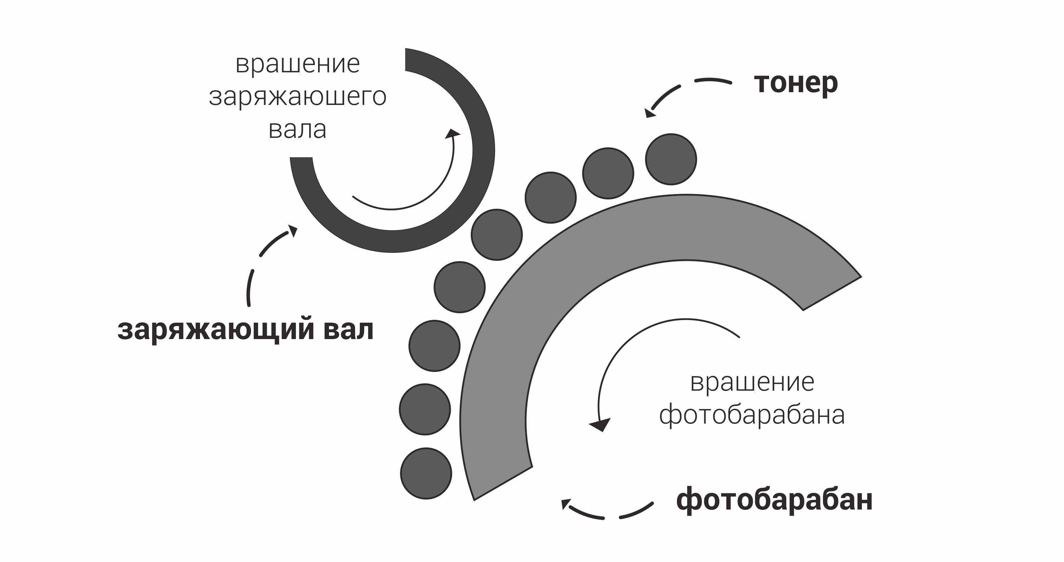 Схема взаимодействия заряжающего вала и фотобарабана Схема взаимодействия заряжающего вала и фотобарабана