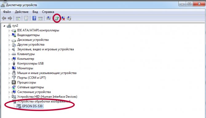 Ошибка печати принтера в Windows 10 - что делать?