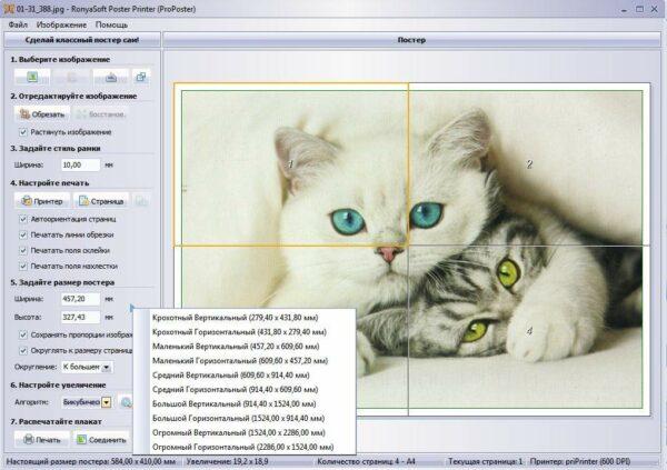 Как распечатать на принтере фото