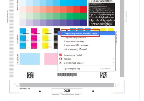 Чтобы воспользоваться тестовой страницей, нужно выбрать пункт «Открыть картинку в новой вкладке»