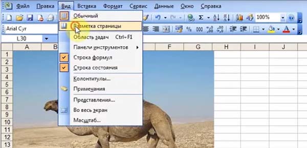 Разметка страницы