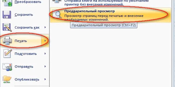 Предварительный просмотр
