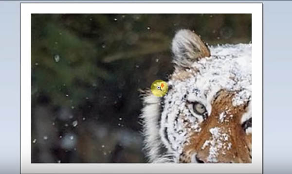 Часть изображения