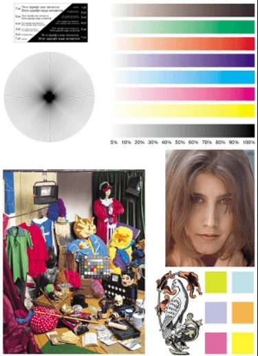 Как распечатать пробную страницу на принтере HP, Canon, Epson и других