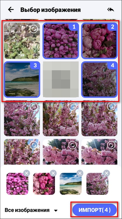 импорт выделенных картинок в Конвертер PDF