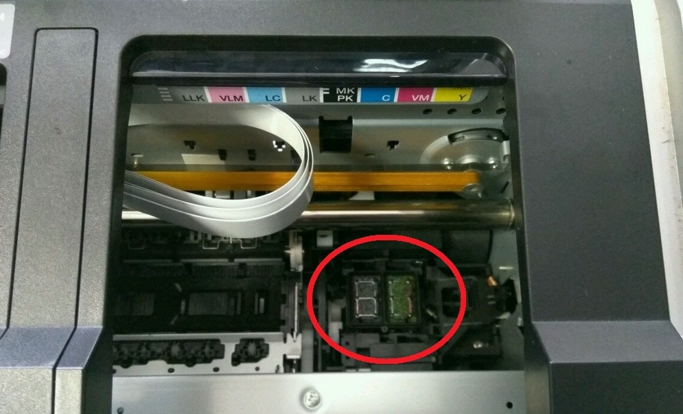 Как прочистить печатающую головку принтера через компьютер и вручную