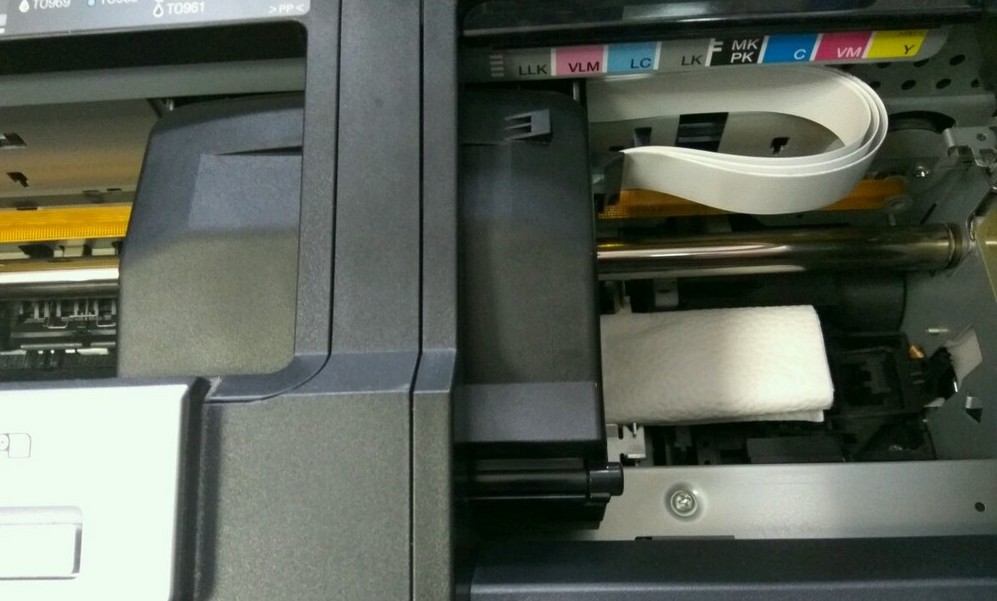 Как прочистить печатающую головку принтера через компьютер и вручную