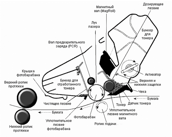 Почему принтер плохо печатает, хотя краска есть: что делать для исправления качества
