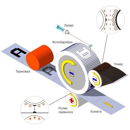 'Результат пошуку зображень за запитом