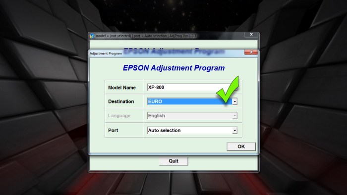 Сброс памперса - выбираем регион в программе